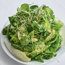 22. Insalata Verde